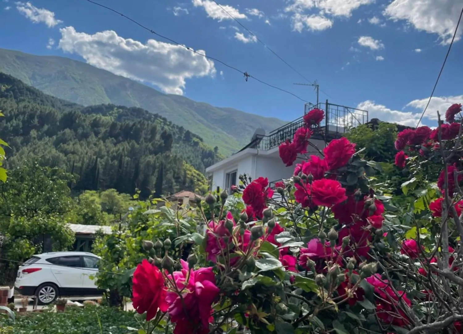 Villa Red Rose Πρεμετή Πανσιόν