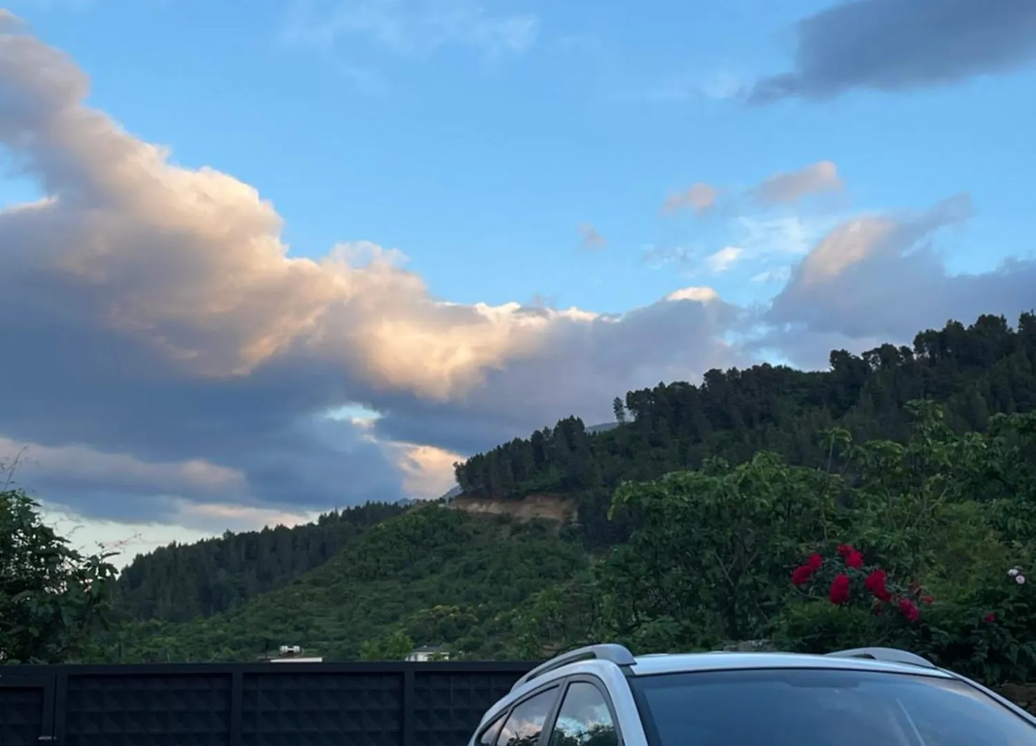 Πανσιόν Villa Red Rose Πρεμετή